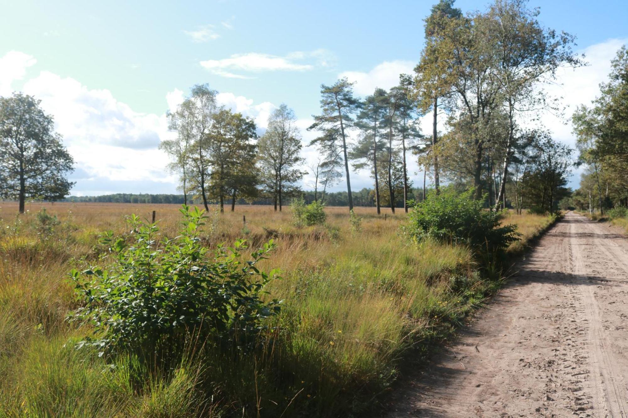 Hotel Park Drentheland Zorgvlied Esterno foto